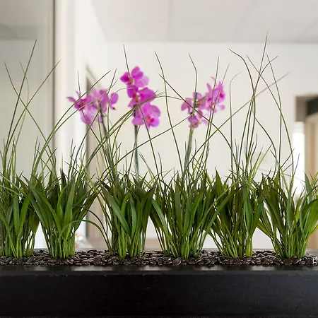 Thon Partner מלון מו אי ראנה